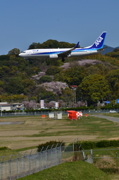 ANA 490