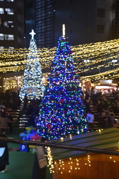 福岡天神　Christmas  Market　02