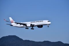 JAL 817