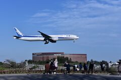 ANA 962
