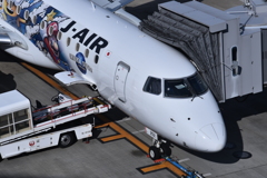 JAL 752