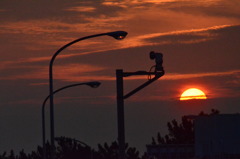 忘れな草　133　「夕日」