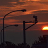 忘れな草　133　「夕日」