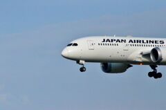 JAL 67