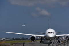 ANA 1001