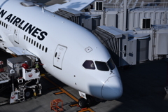JAL 1154