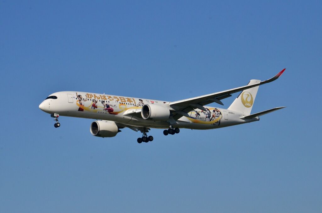 JAL JA06XJ
