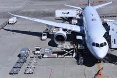 ANA 1004