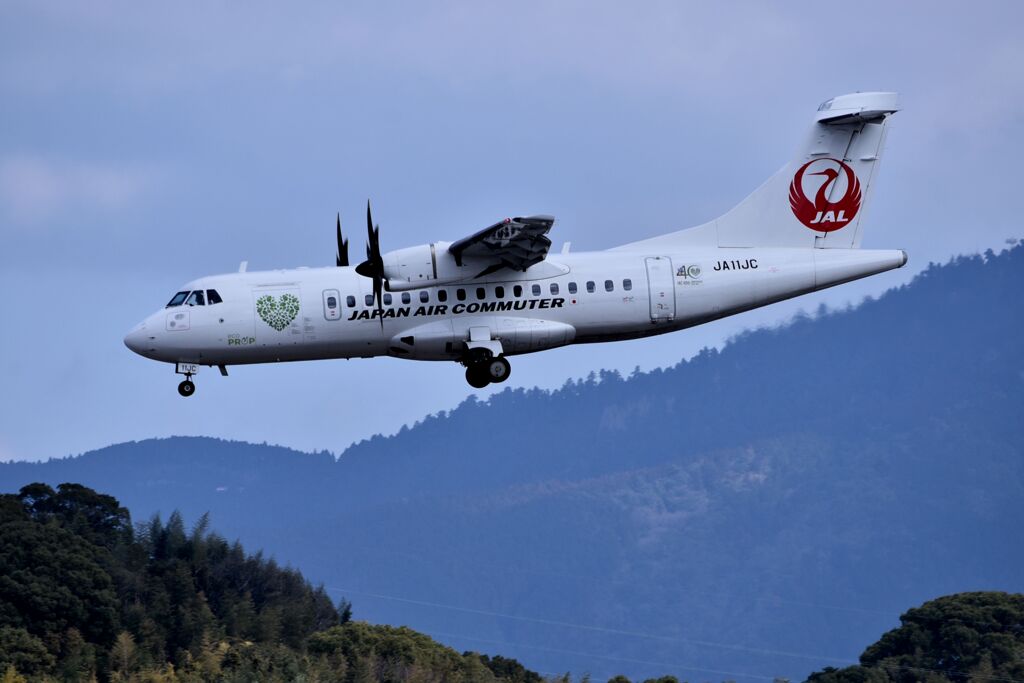 JAL 1156