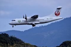 JAL 1156