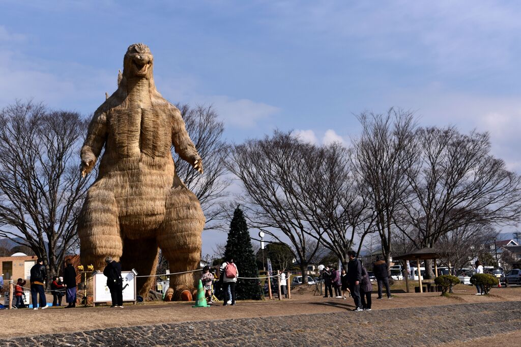 わらゴジラ03