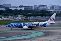 JAL 979