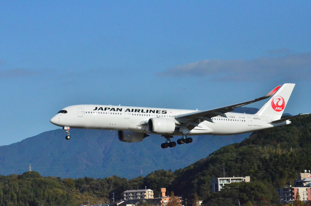 A350 JAL 31