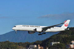 A350 JAL 31