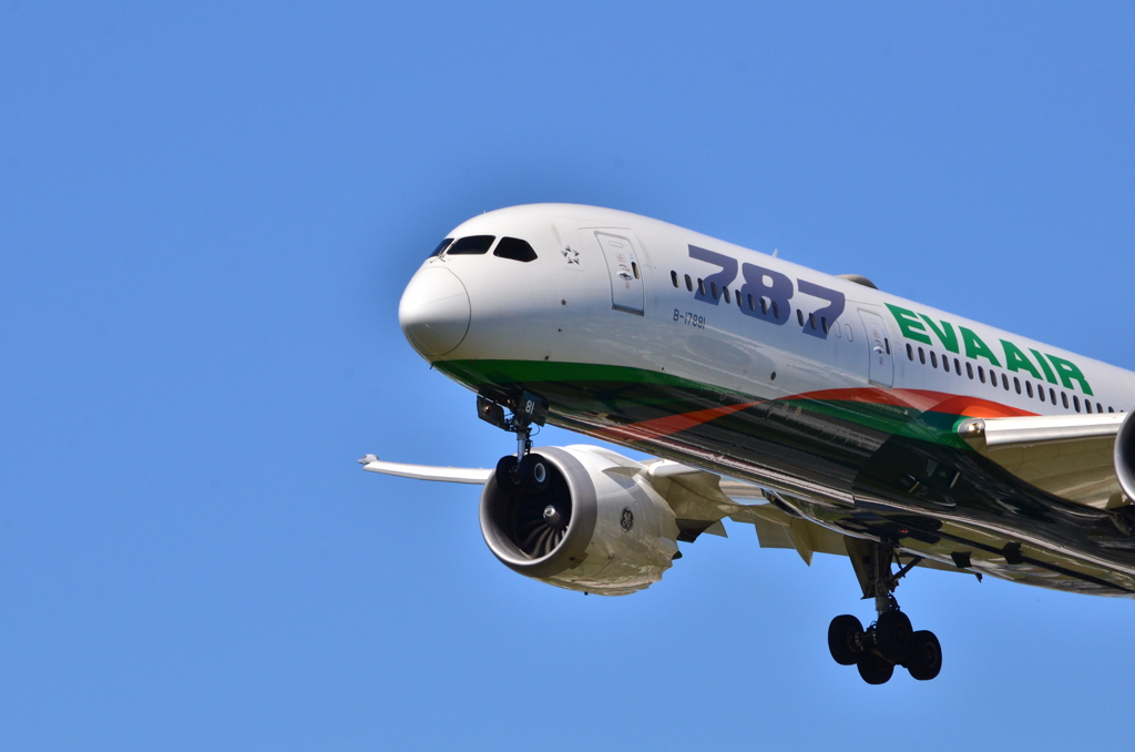 NO 85　Eva Airways  