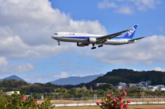 ANA 419