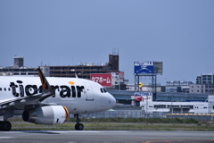 NO 421