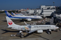 JAL 302