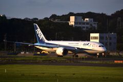 ANA 951