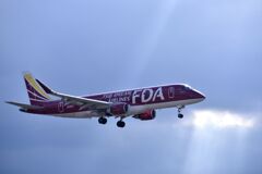 FDA 310