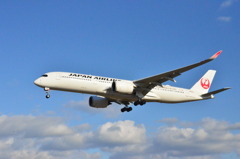 JAL 128
