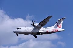 JAL 821
