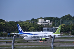 NO 197