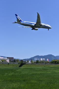 ANA 566