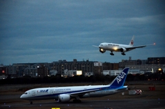 ANA 554
