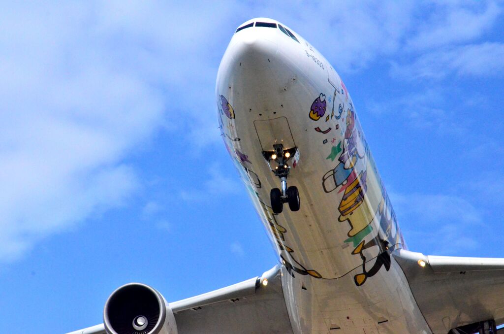 JAL 480