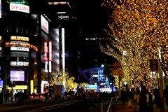 「イルミ2025」08