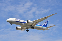 ANA 521