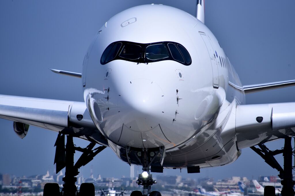 JAL 1310