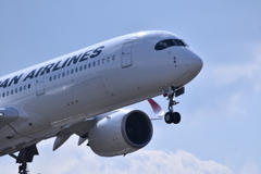 JAL 1155
