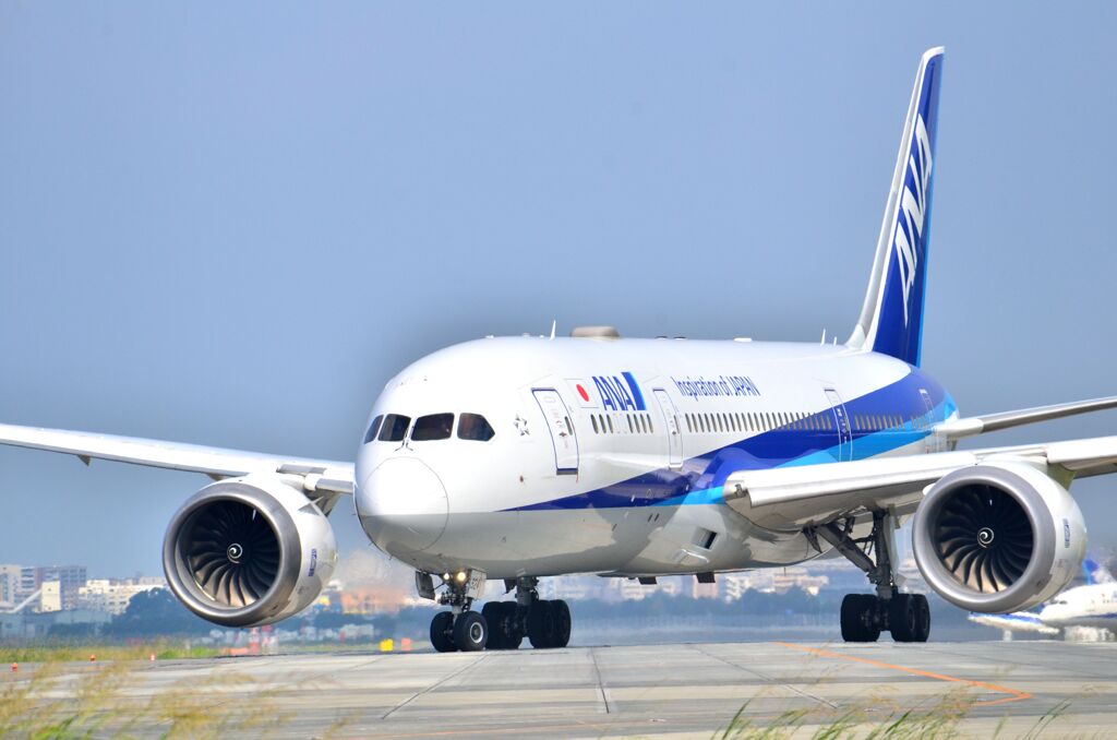 ANA 252