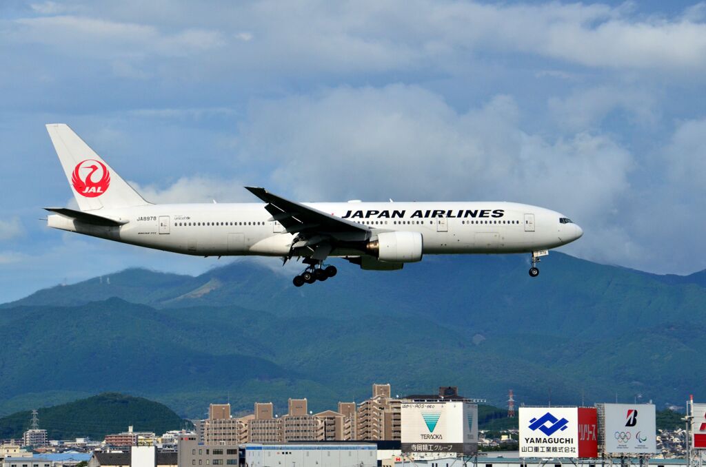 JAL 54