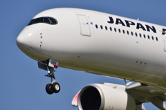 JAL 153