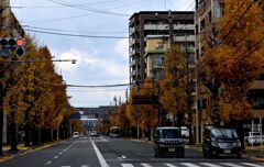 一歩・二歩・散歩(2025初冬)02