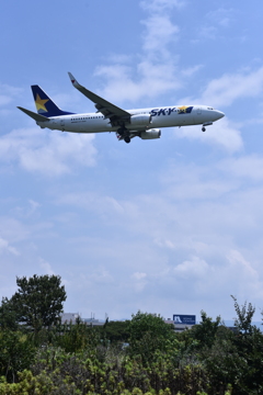 SKY 224