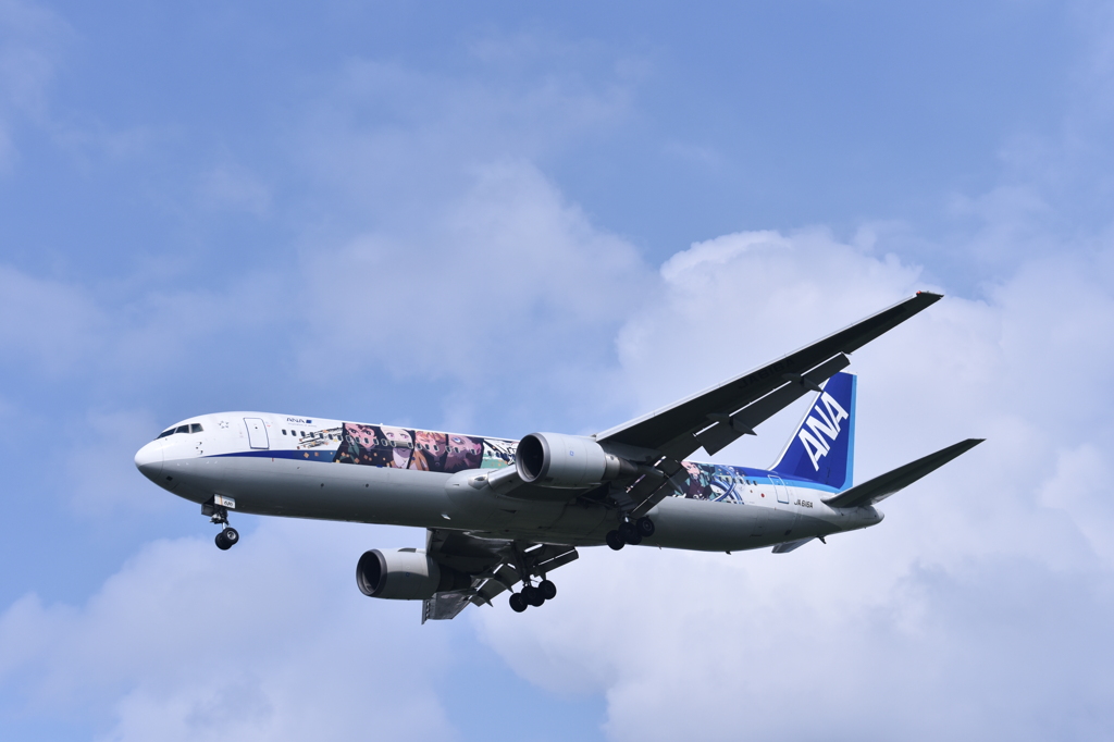 ANA 561