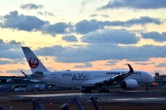 JAL 504