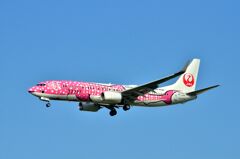 JAL 278