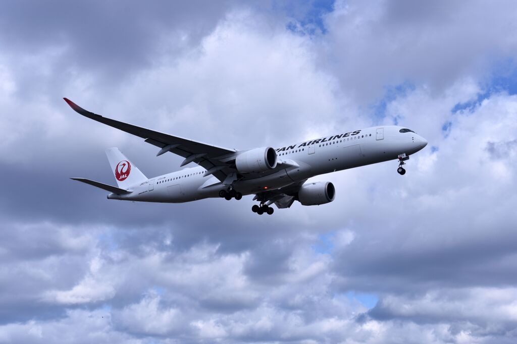 JAL 801