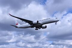 JAL 801