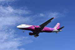 PEA 192
