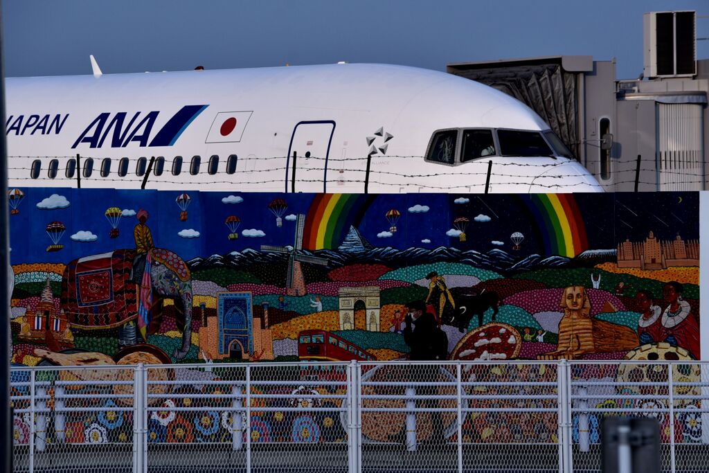 ANA 1005