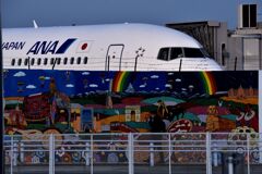 ANA 1005