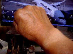 「ヤケのヤンパチ日焼けのナスビ！」その五「ヒコ撮り焼け」（＾＾；