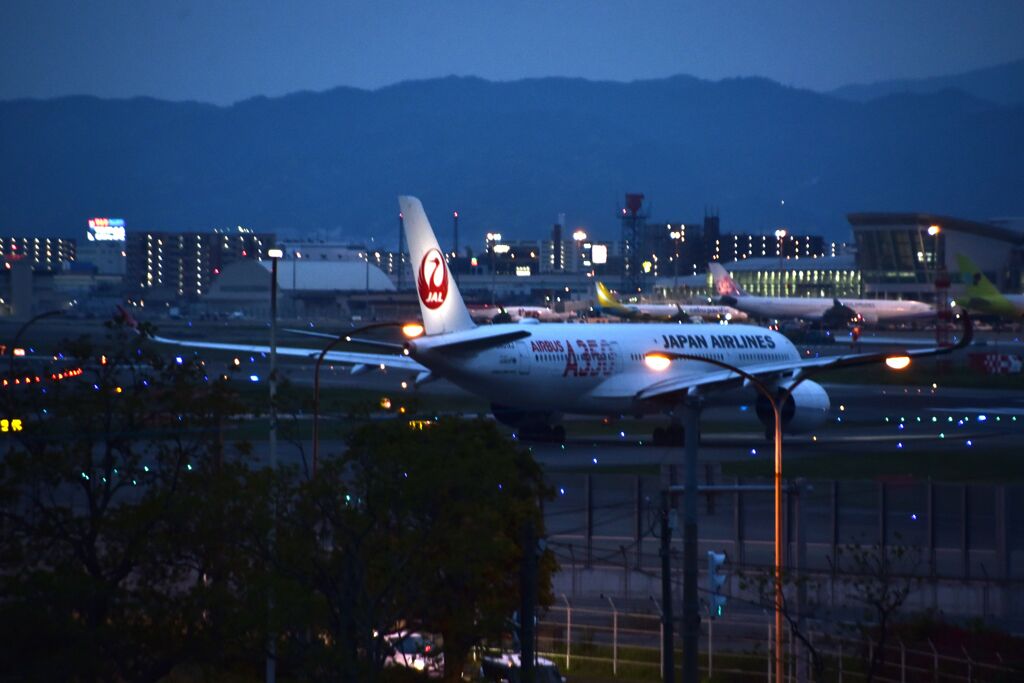 JAL 1137