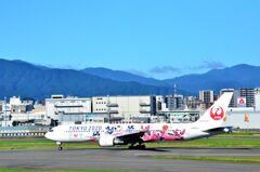 JAL 331  （特別塗装機）